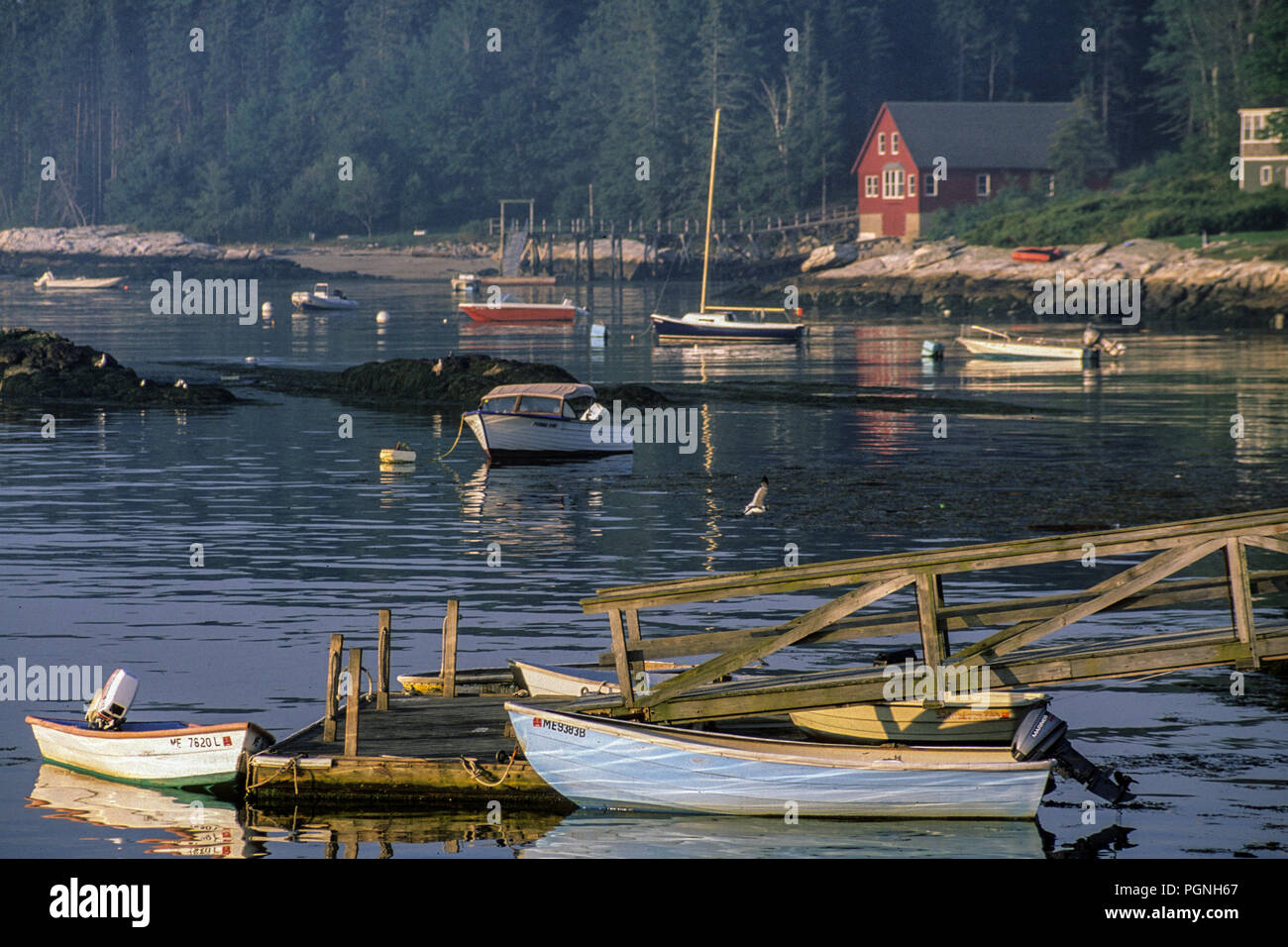 Five Islands harbor on Island in Maine Stock Photo Alamy