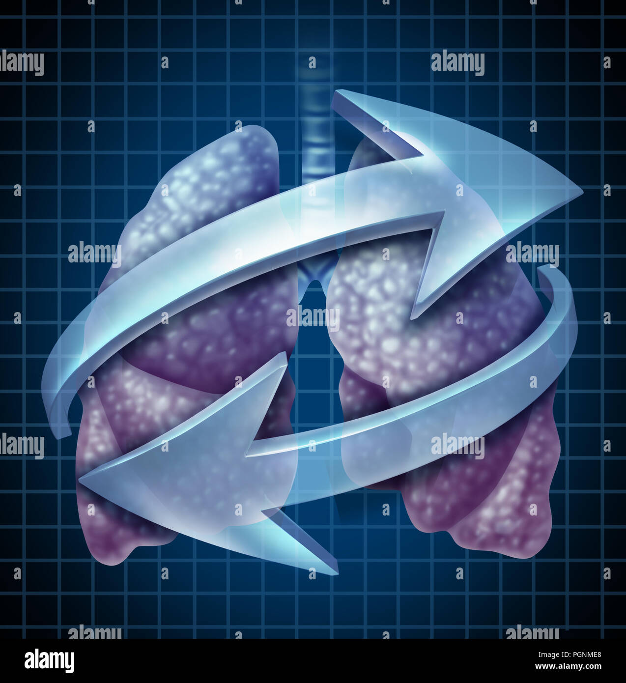 Breathing lungs human respiratory system symbol as an anatomical concept for inhaling and exhaling with 3D illustration elements. Stock Photo