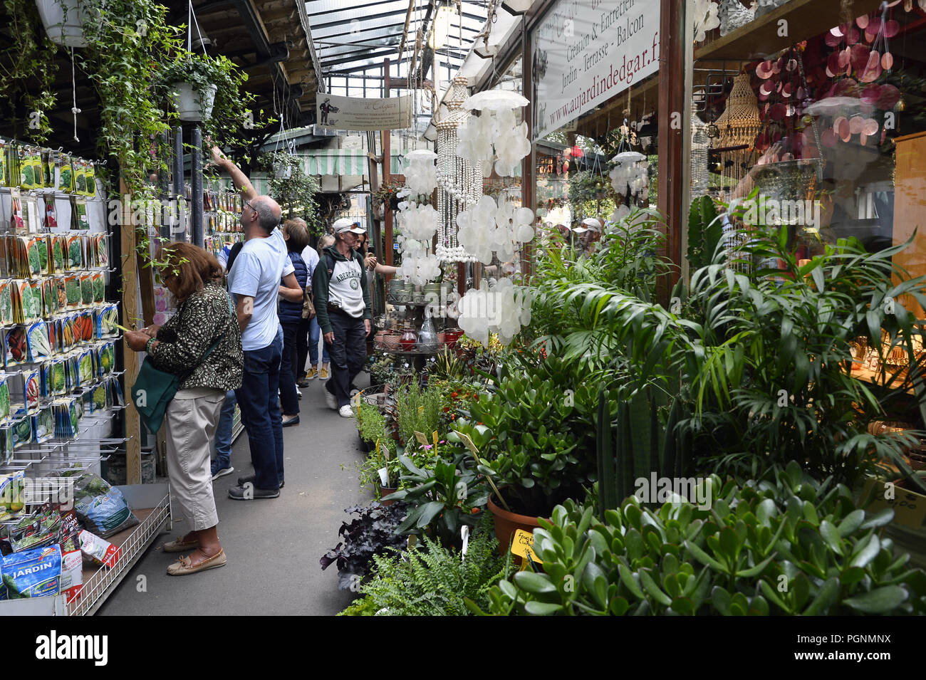 Marché aux fleurs et aux oiseaux Reine Elizabeth II Allée des Célestins Paris 4th Stock