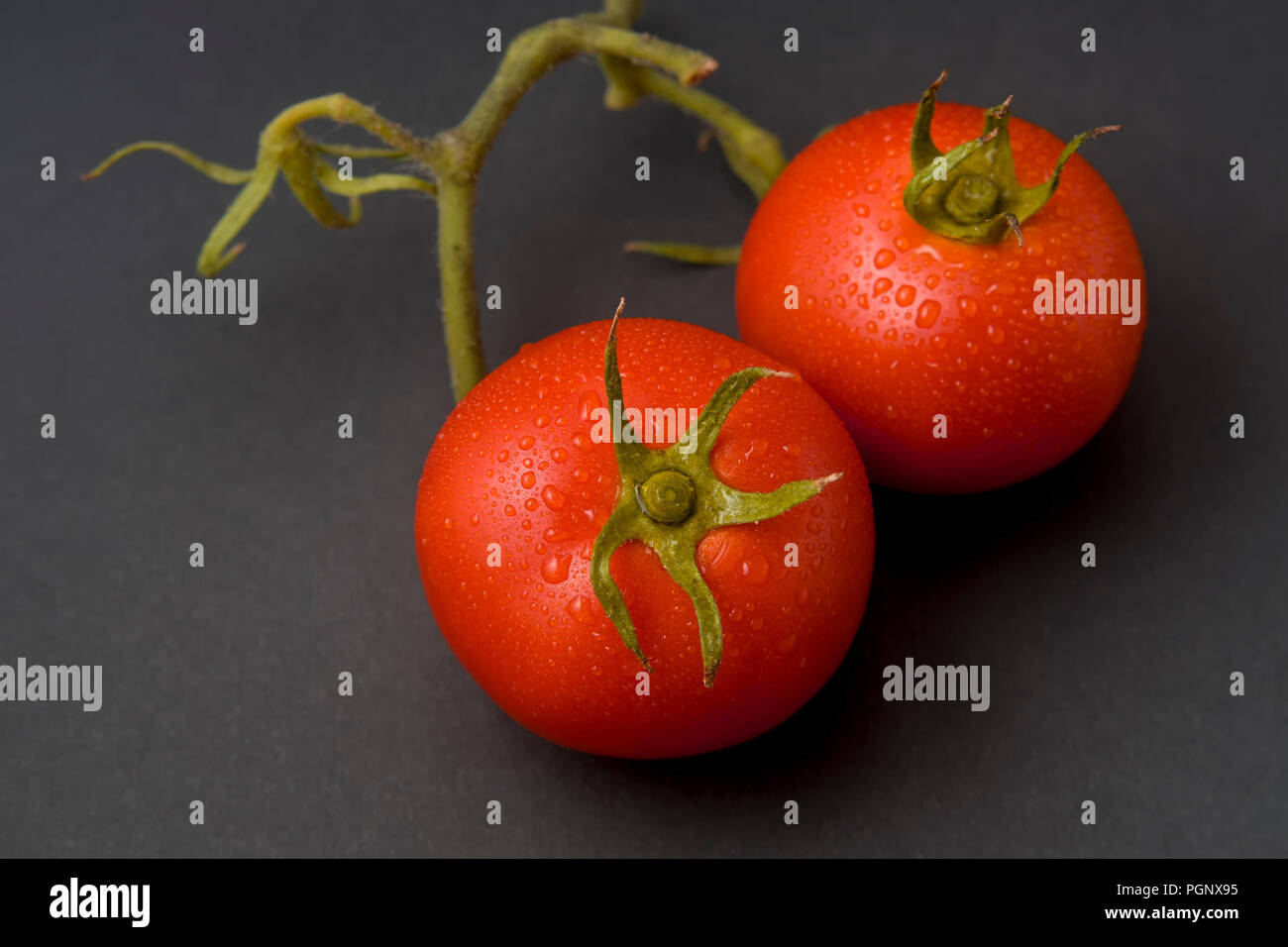 Two tomatoes isolated on black background with stem, leaf and water