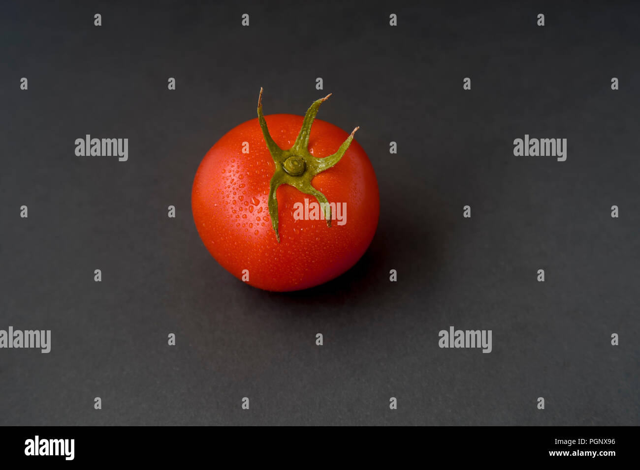 Single tomato isolated on black background with water droplets. Most tomato plants have compound leaves, and are called regular leaf plants. Tomato fr Stock Photo