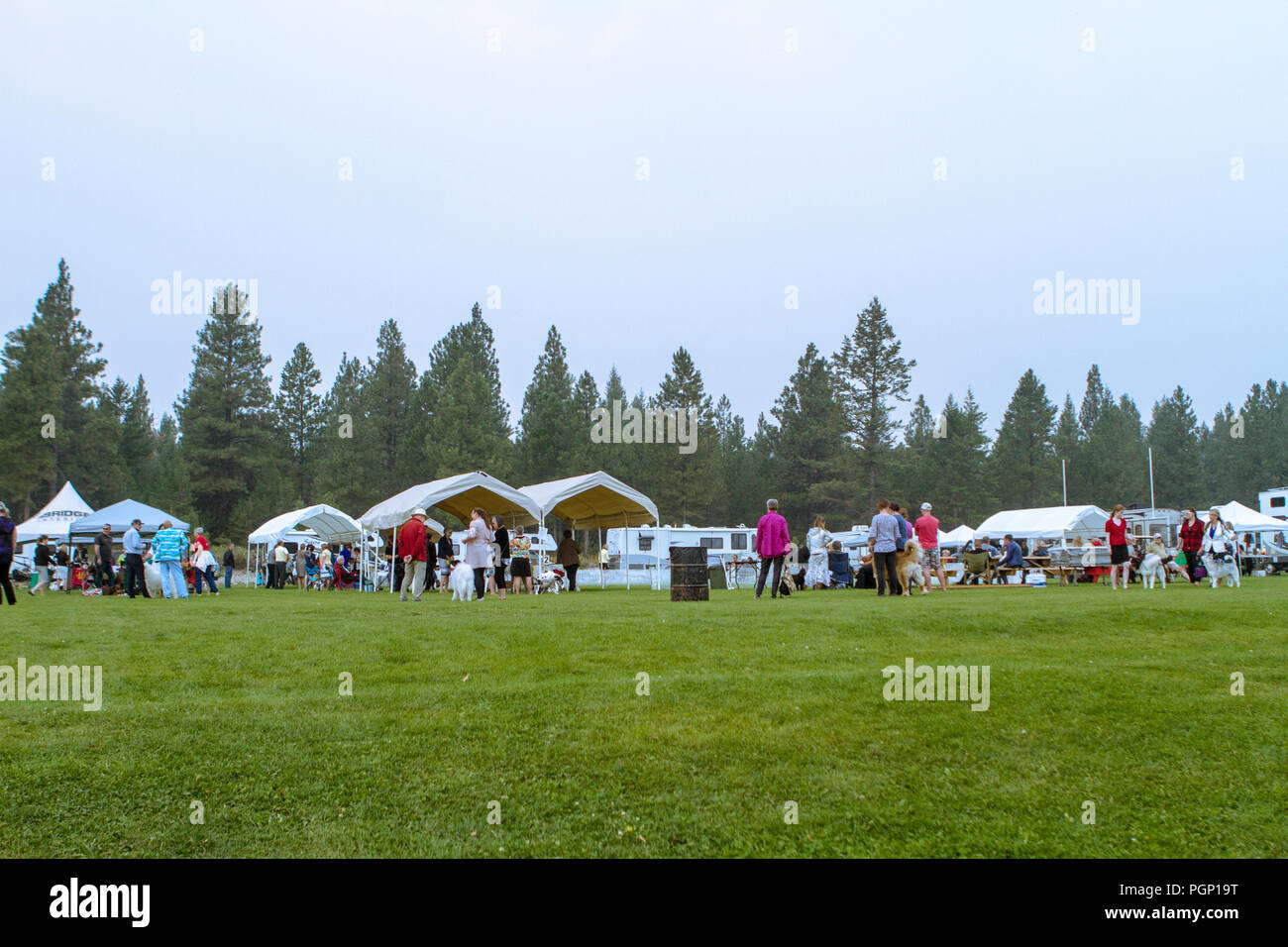 Cranbrook Annual Dog Show, showing ring, vendor tents, veiw of the entire set up Stock Photo