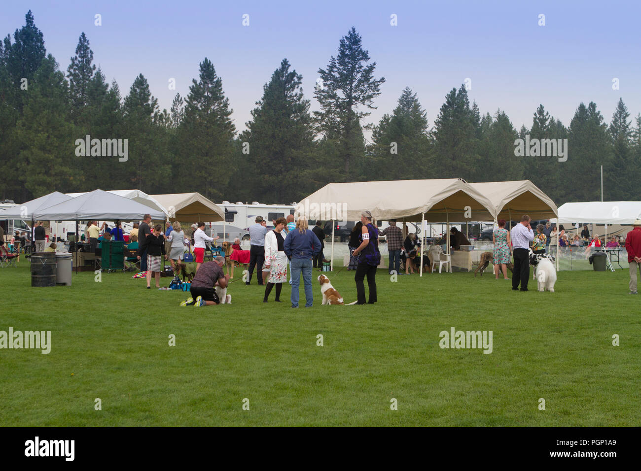 Cranbrook Annual Dog Show, showing ring, vendor tents, veiw of the entire set up Stock Photo