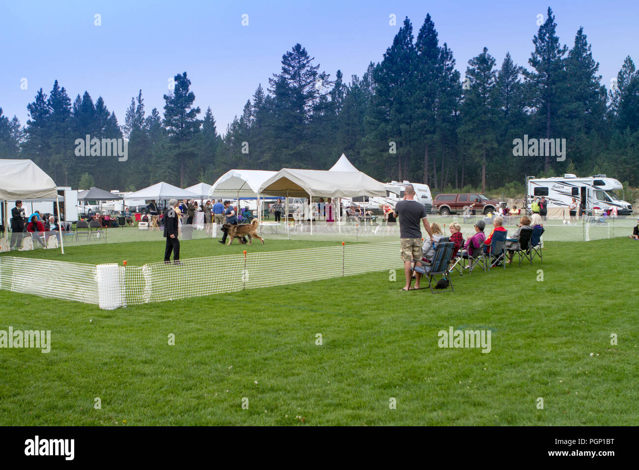 Cranbrook Annual Dog Show, showing ring, vendor tents, veiw of the entire set up Stock Photo