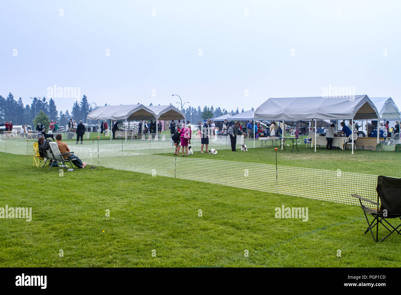 Cranbrook Annual Dog Show, showing ring, vendor tents, veiw of the entire set up Stock Photo