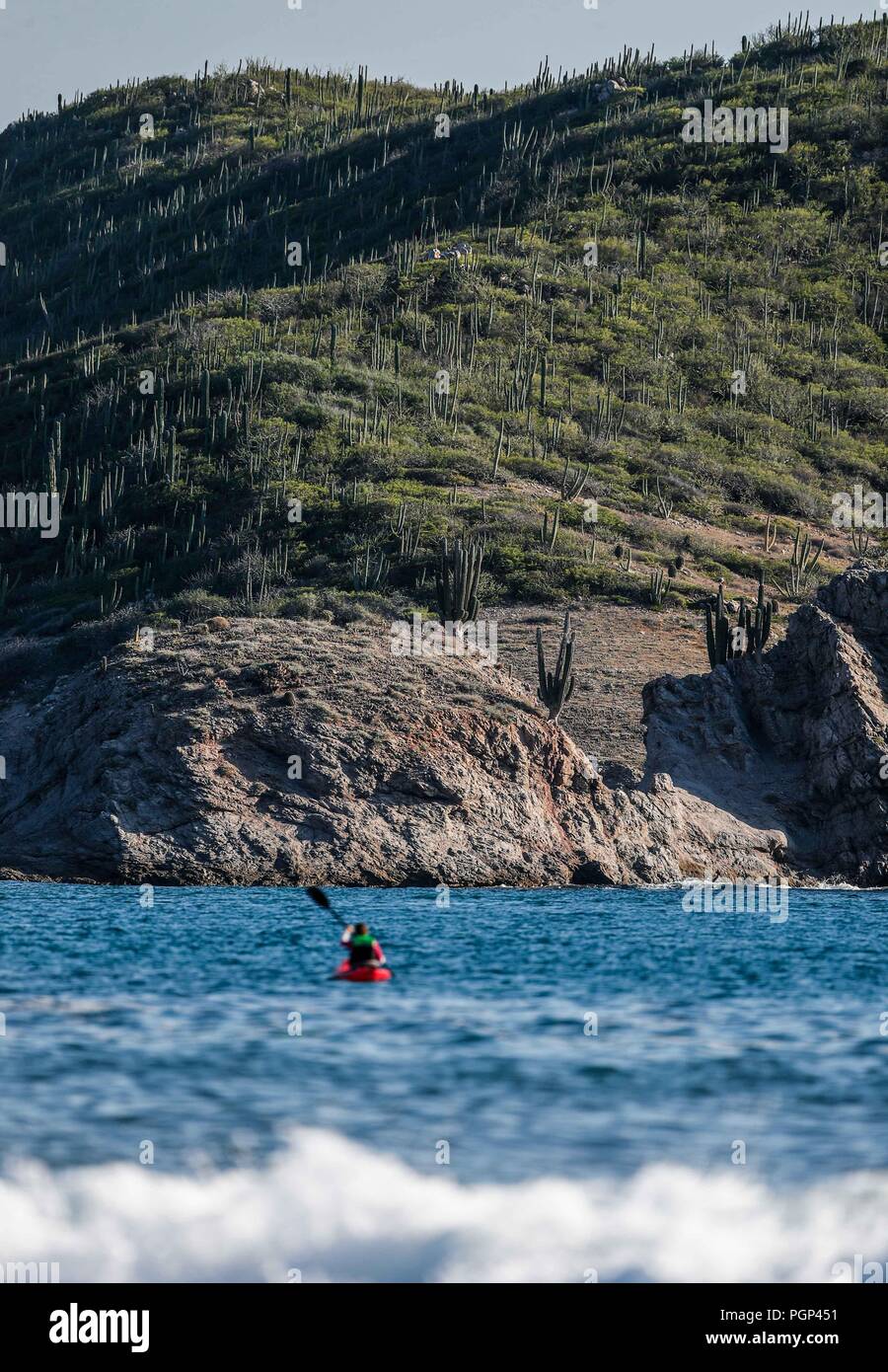 paisajes de playa, mar , vegetacion de cactus, y sahuaros en las montañas  de la zona toristica de San Carlos, Sonora. Mexico. Golfo de California. Vi  Stock Photo - Alamy, image size:900x1390