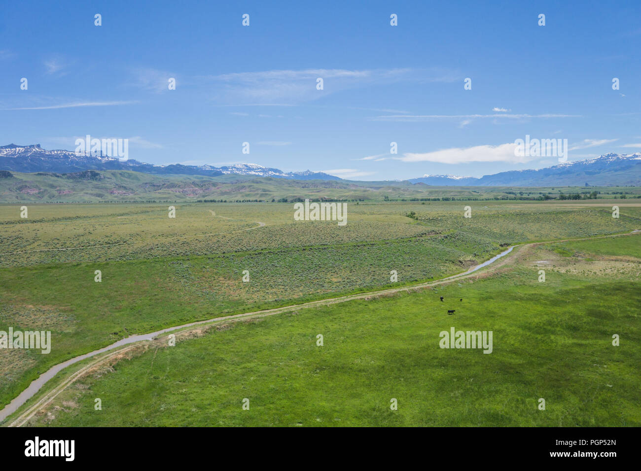 Broad green farming fields in western Wyoming with Rocky Mountains in the distance. Stock Photo