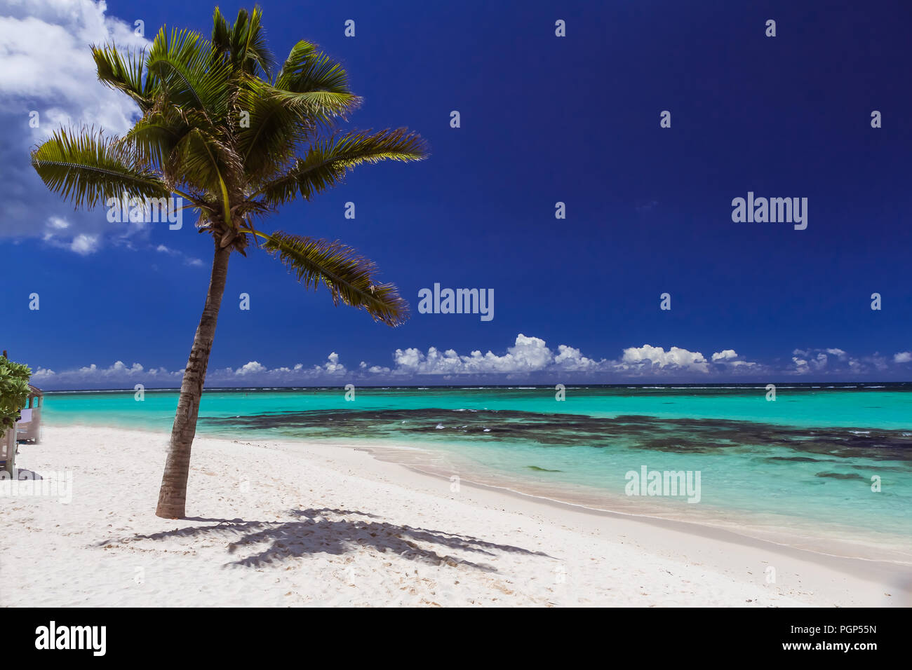 palm on a white sand beach; ocean and deep blue sky, Mauritius islan in Indian ocean Stock Photo
