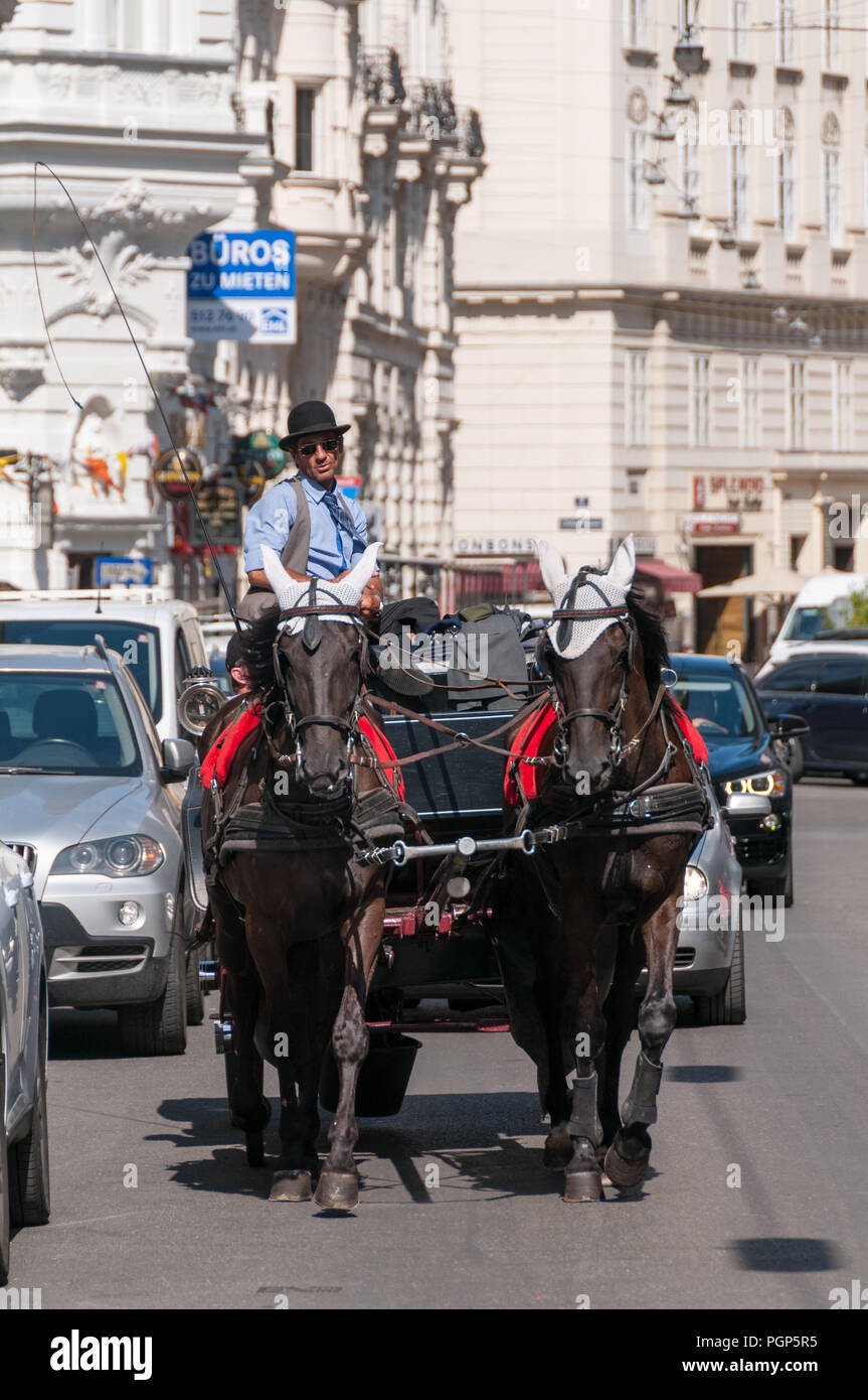 Vienna horse carriage, Vienna, Austria Stock Photo Alamy