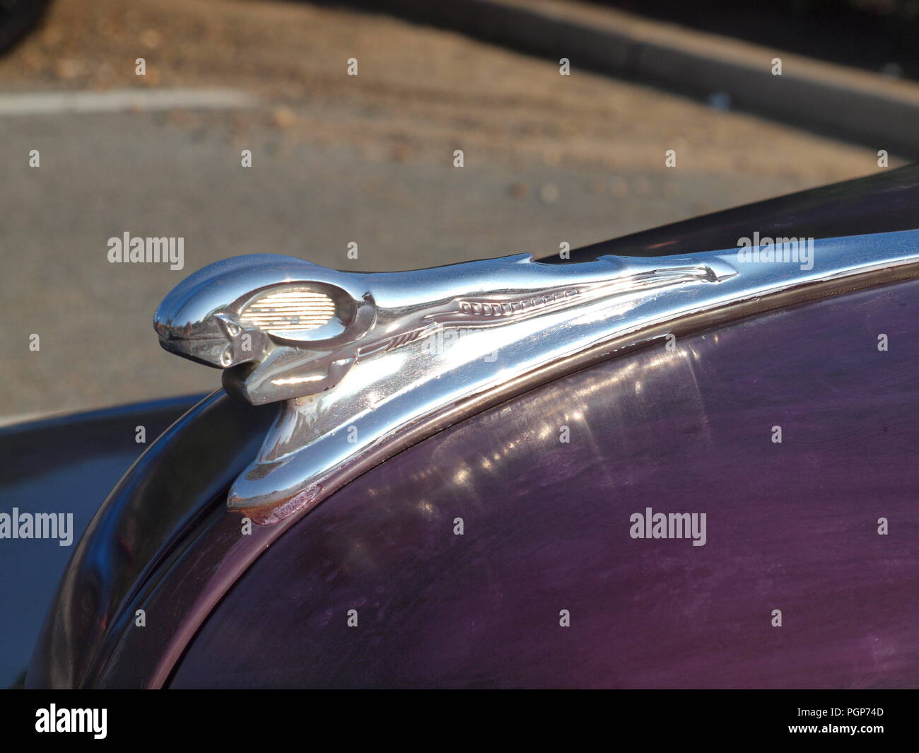 Rare hood ornamentation hires stock photography and images Alamy