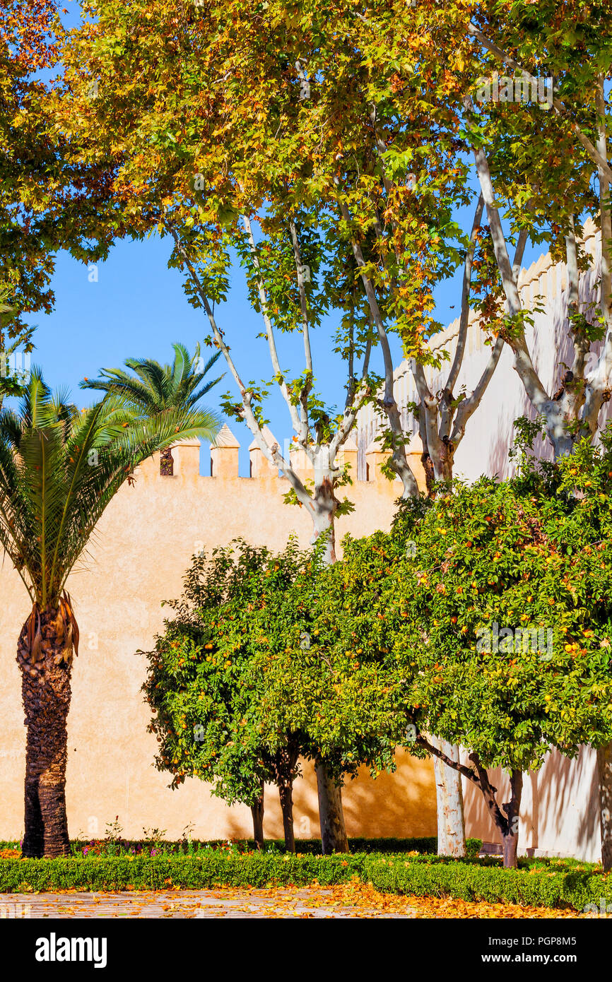 Morocco walled garden with palms, orange trees and hedges in a formal design. Viewpoint is standing inside the walls. Stock Photo