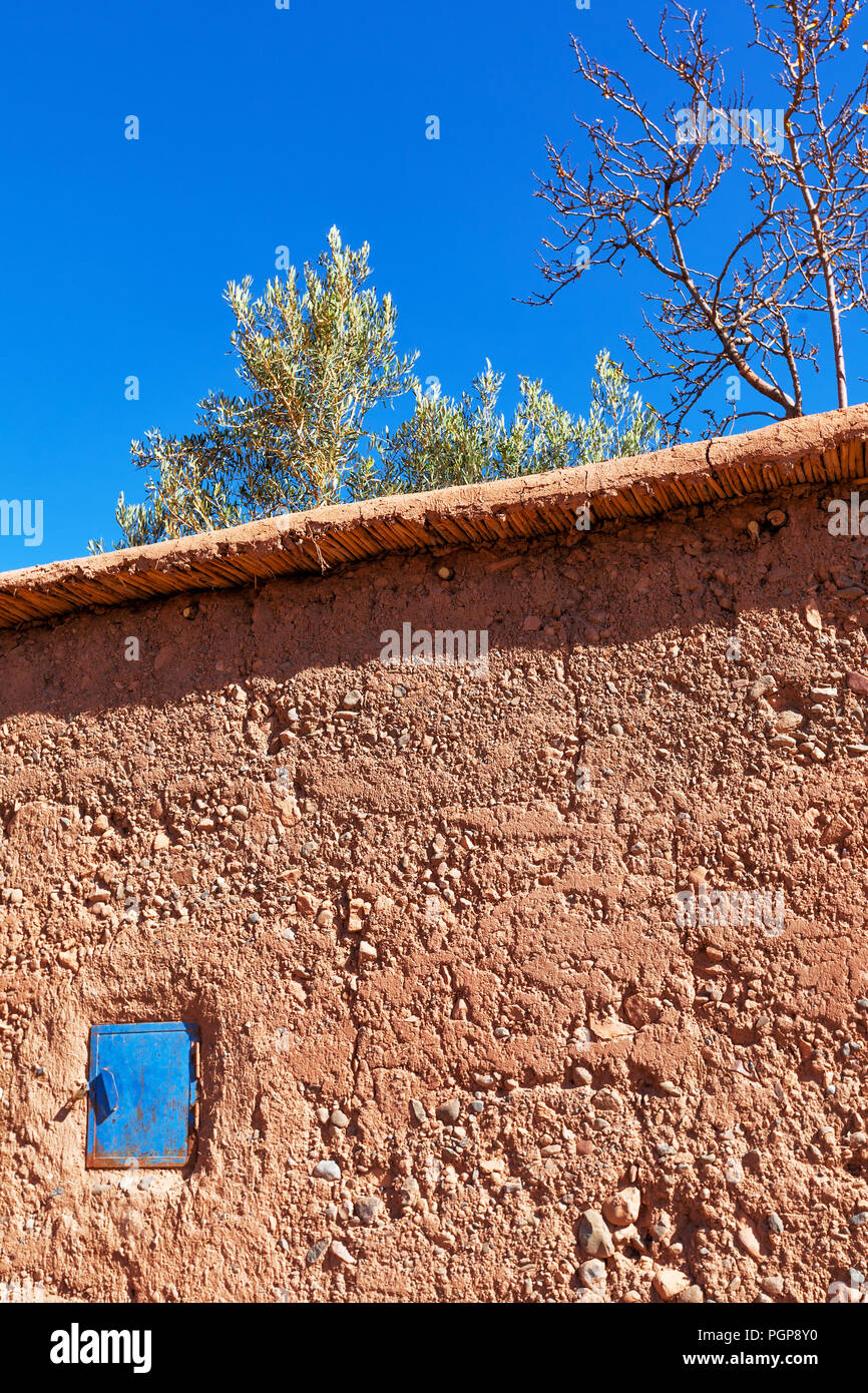 Adobe mud exterior wall with small blue closed window shutter that matches the bright blue sky. Looking up to view tree tops from an interior garden Stock Photo