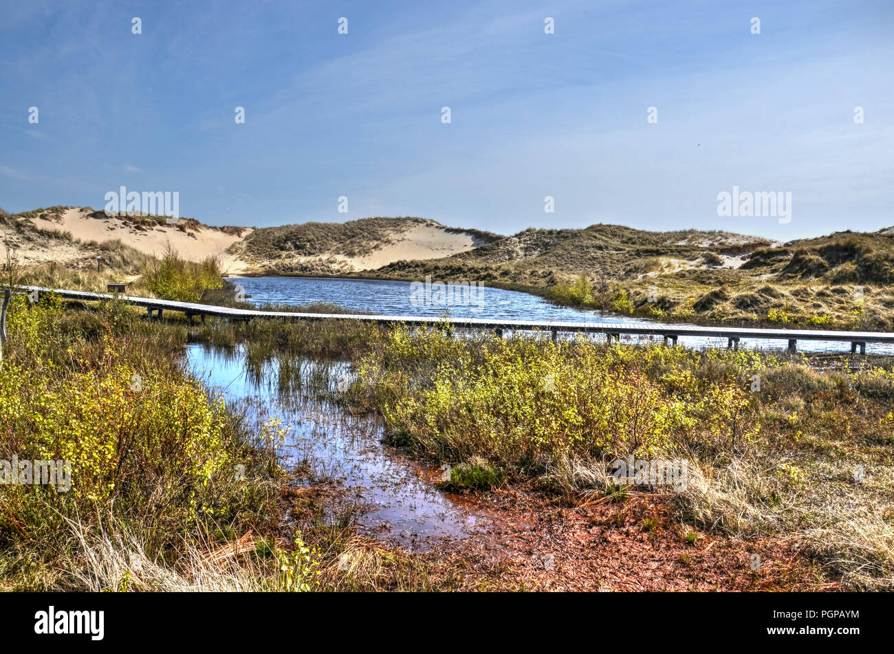 Wooden plankbridge across a small lake in a sandy dune area with low shubs on the German Northsea island of Amrum Stock Photo