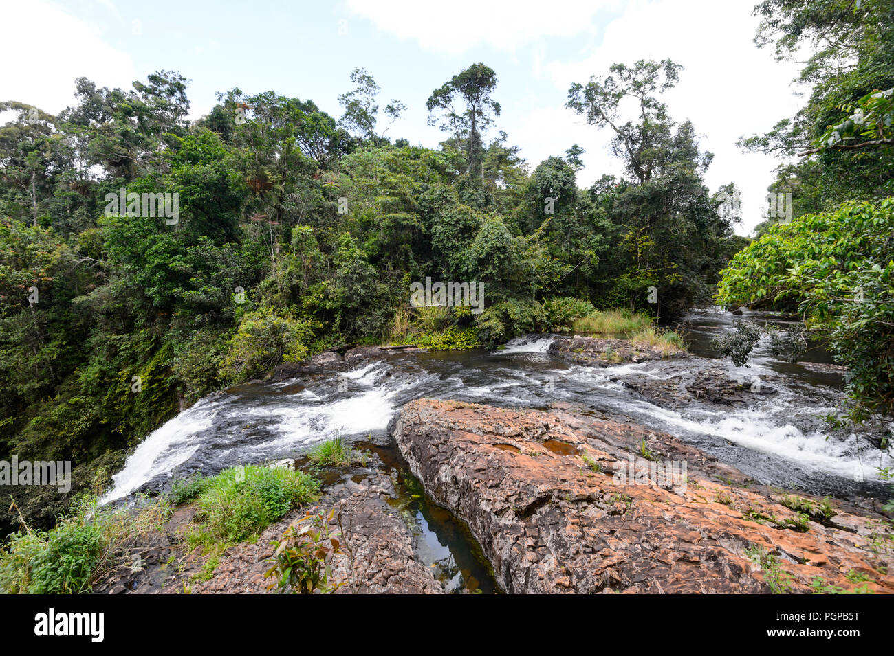 View of Zillie Falls, Atherton Tablelands, Far North Queensland, FNQ, QLD, Australia Stock Photo