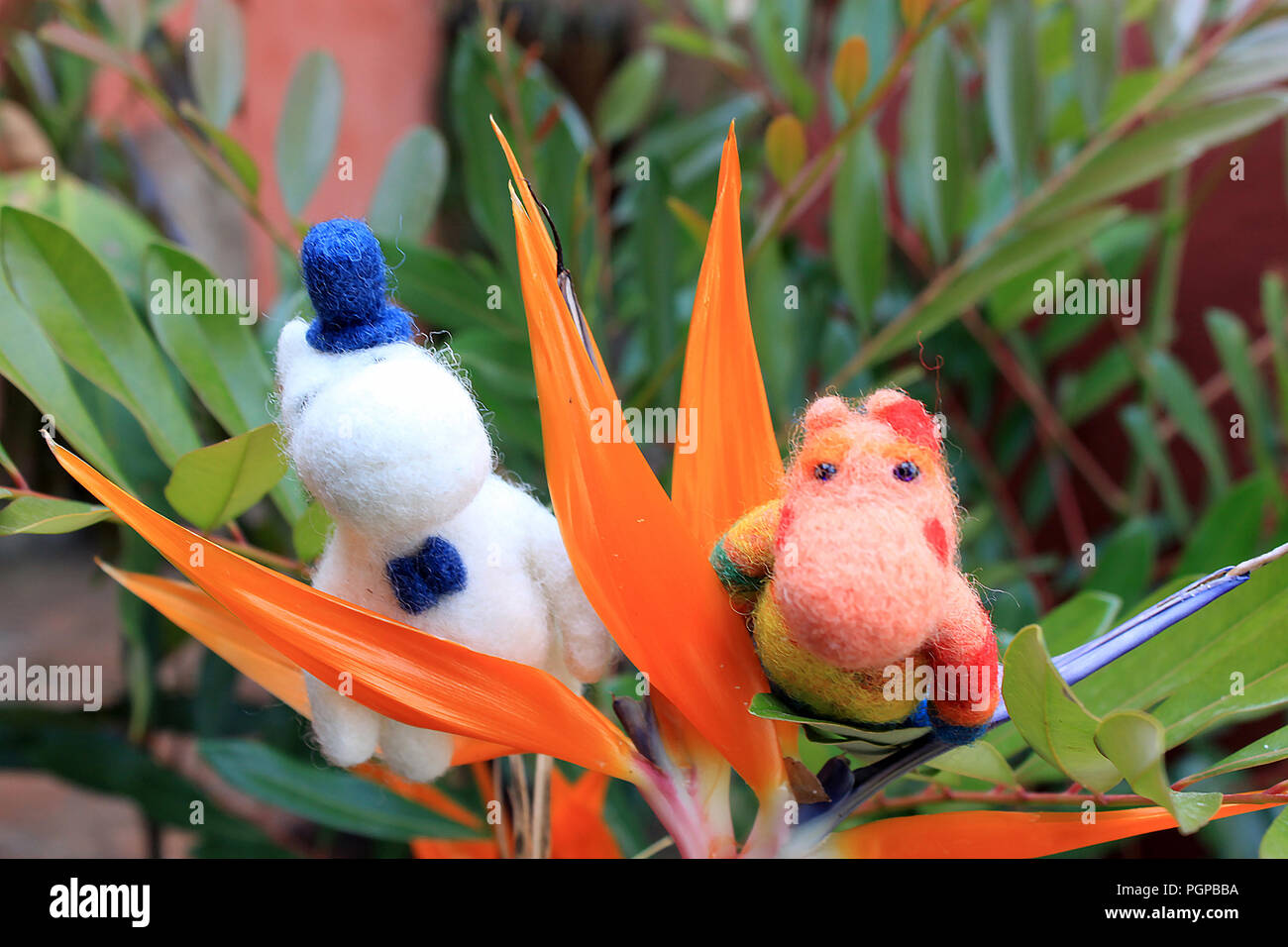 Moomin troll couple on the tropical flower in Mexico, romantic trolls with flowers, felted toy Stock Photo