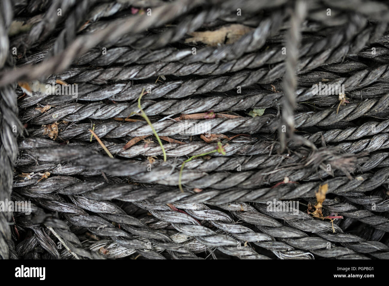 rope rolled into a bunch, closeup Stock Photo - Alamy