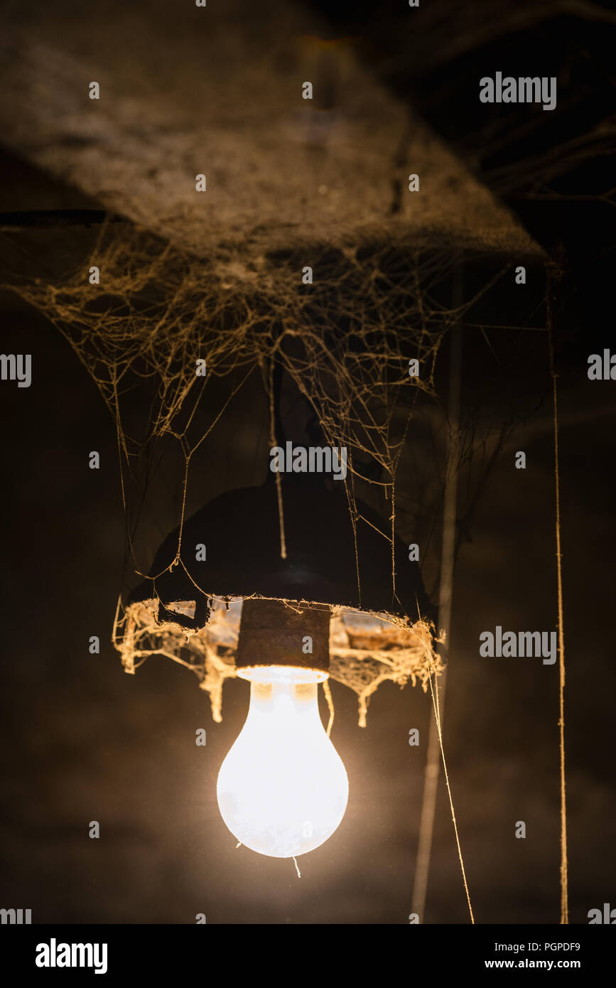 Light of old lamp in the barn. Cobweb in a creepy room. Background for ...