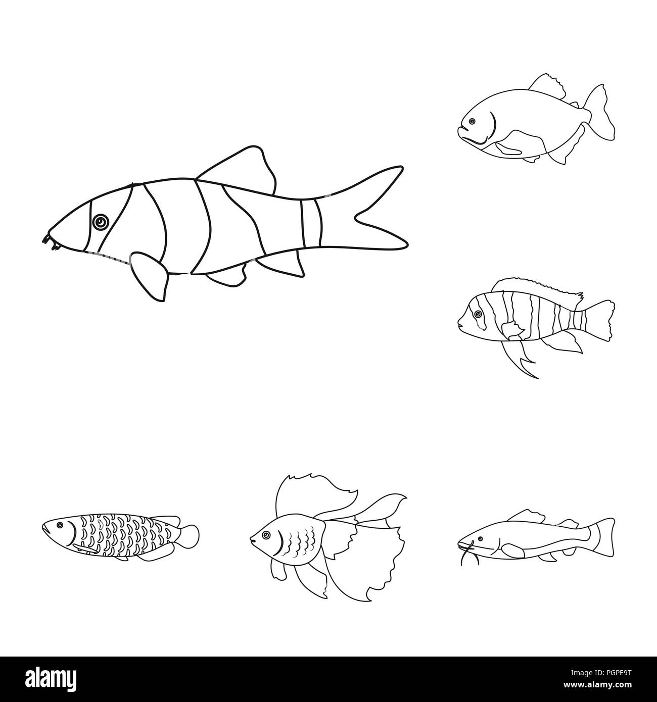 Different types of fishes illustrated by Charles Dessalines D' Orbigny  (1806-1876). Digitally enhanced from our own 1892 edition of Dictionnaire  Universel D'histoire Naturelle. - Free Stock Illustrations | Creazilla