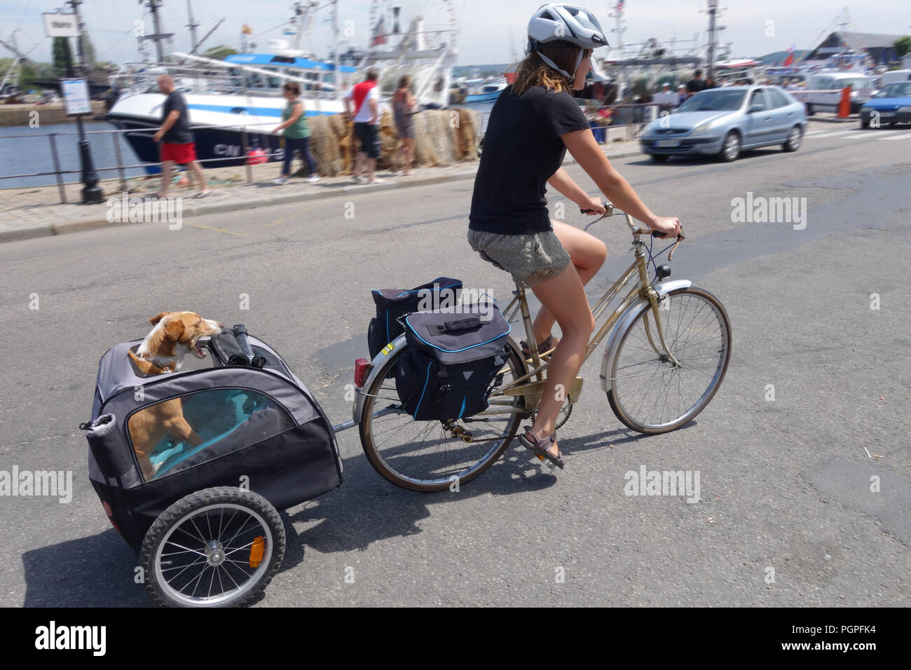Bike with pull cart hot sale