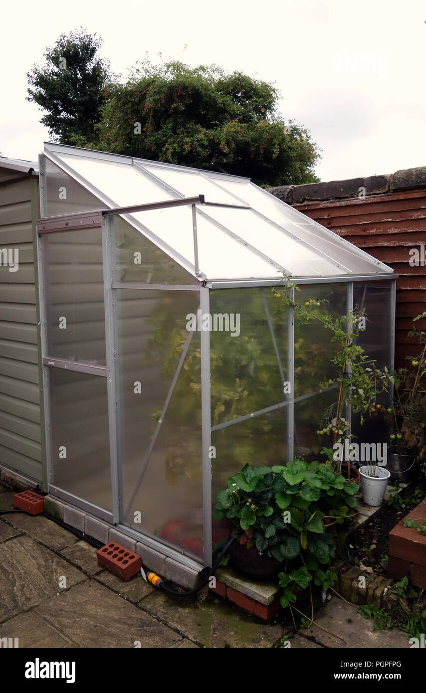 Small lean to greenhouse in a private Rotherham garden, South Yorkshire