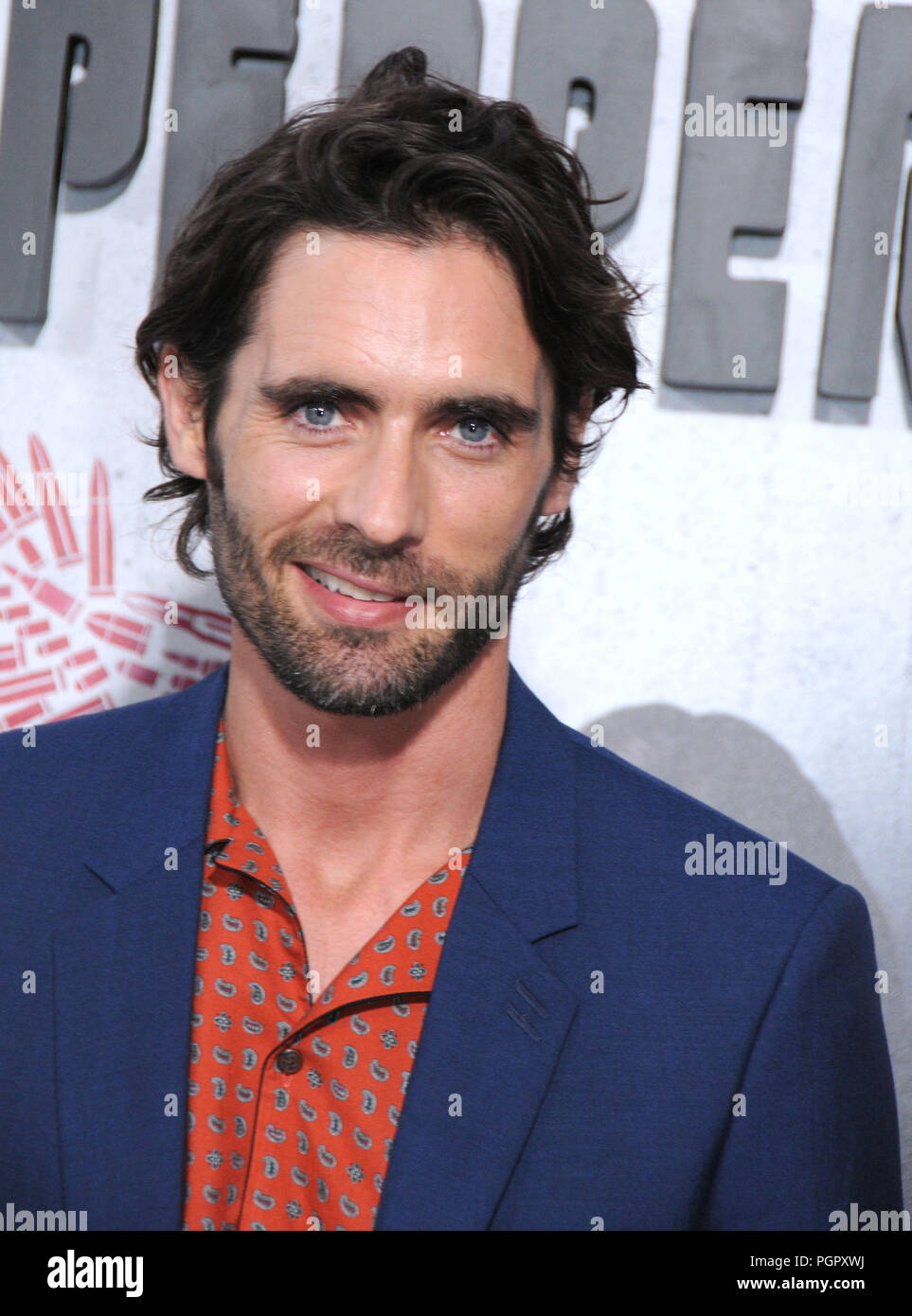 Actor T Ritter Los Angeles, USA. 28th Aug 2018. Musician/actor Tyson Ritter attends ...