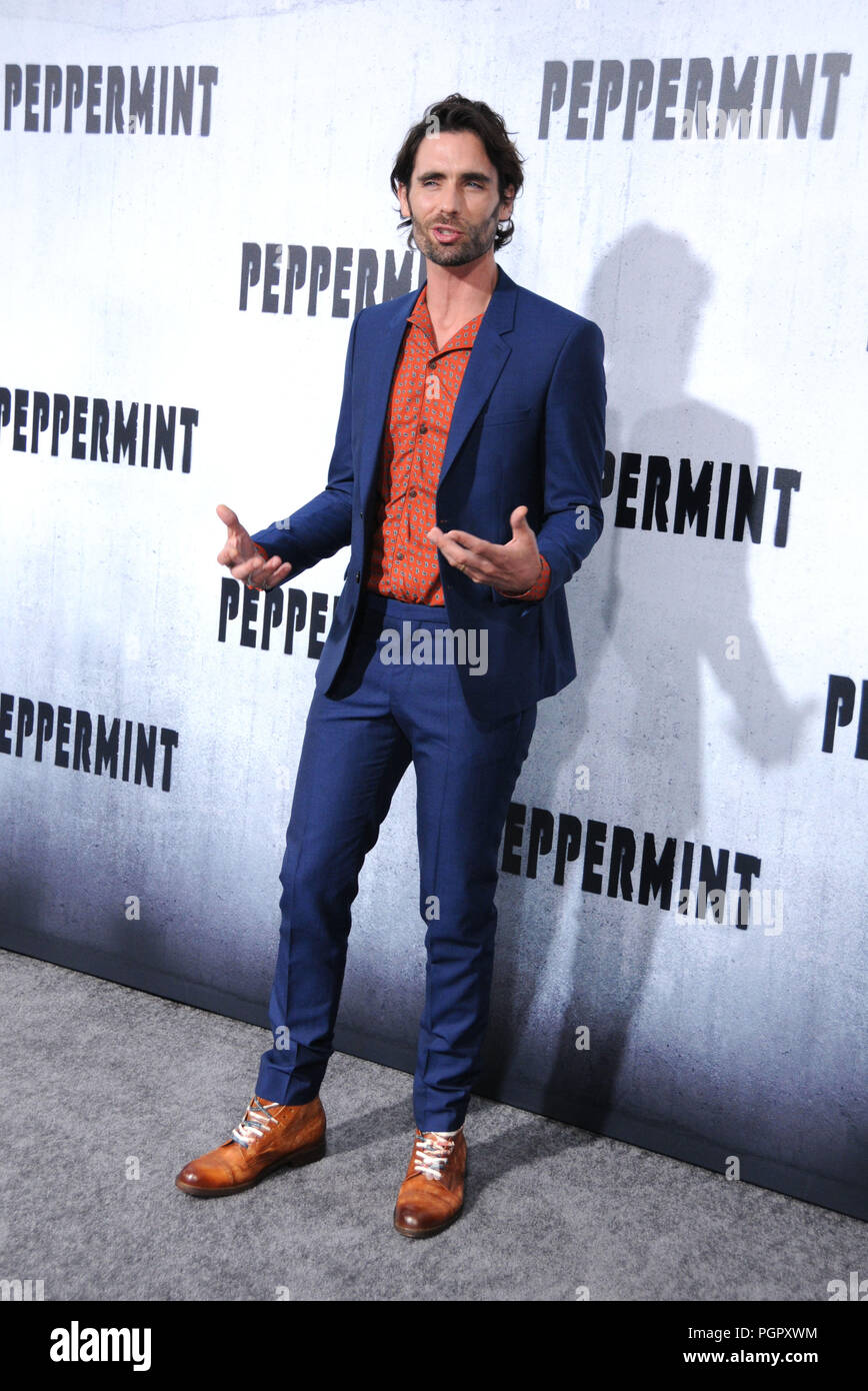 Actor T Ritter Los Angeles, USA. 28th Aug 2018. Musician/actor Tyson Ritter attends ...