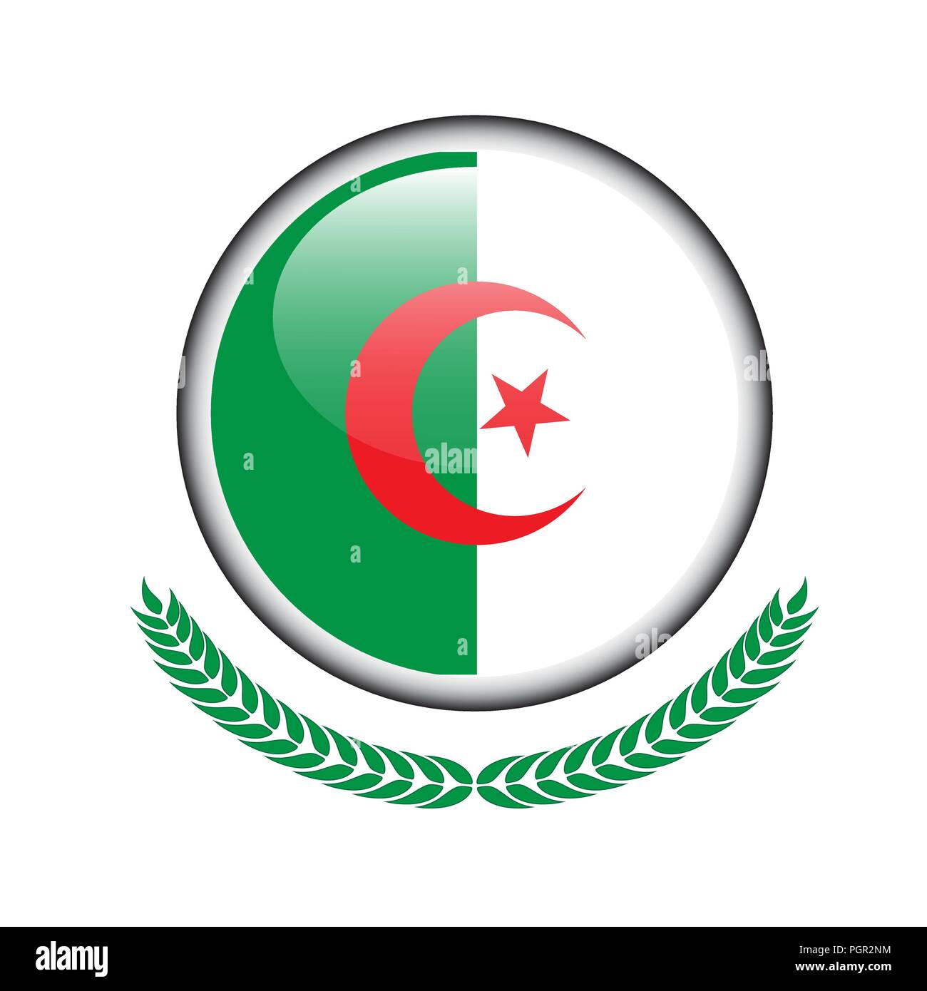 Algeria flag button. Algeria flag icon. Vector illustration of Algeria flag on white background. Stock Vector
