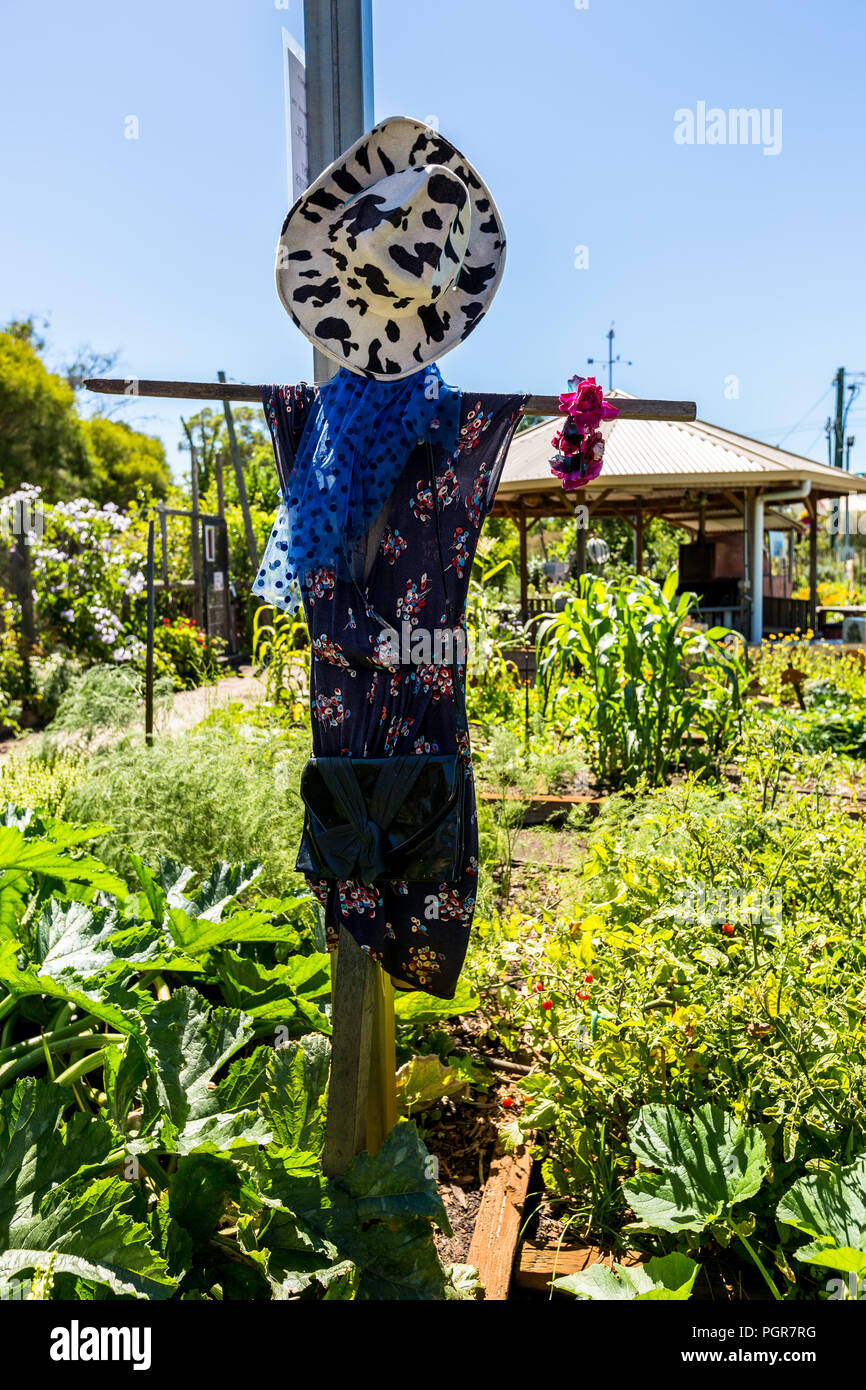 Scarecrow in Community Garden Stock Photo