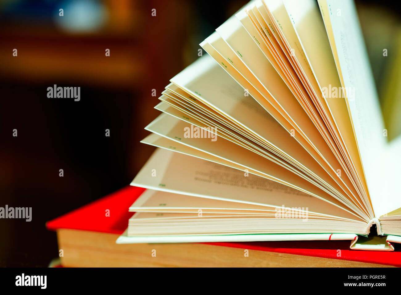 Open book on table. Back to school. Copy space Stock Photo