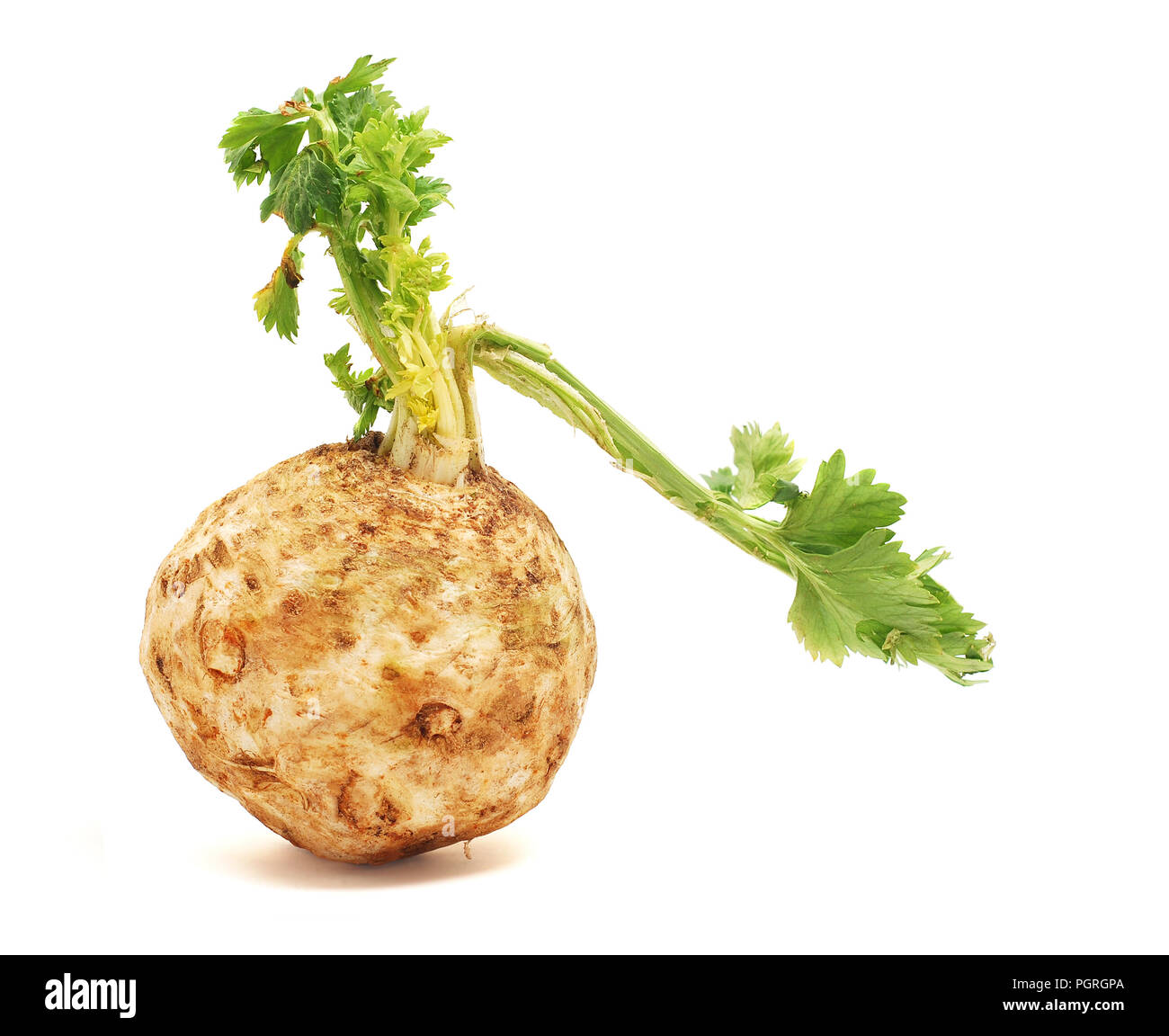 Celery bulb hires stock photography and images Alamy