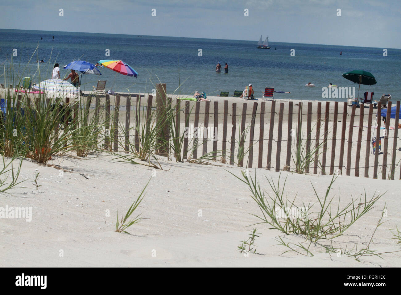 Summertime at the Beach