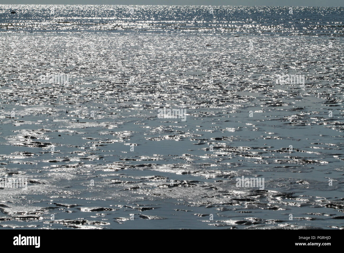 The sea during low tide at Cape Charles, Virginia Stock Photo Alamy