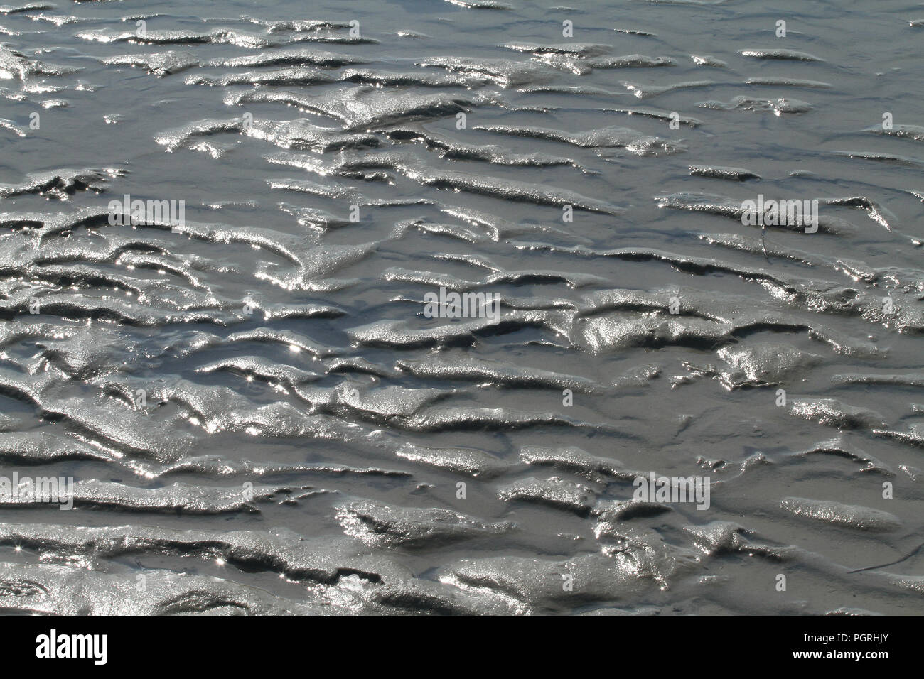 The sea during low tide at Cape Charles, Virginia, USA Stock Photo Alamy