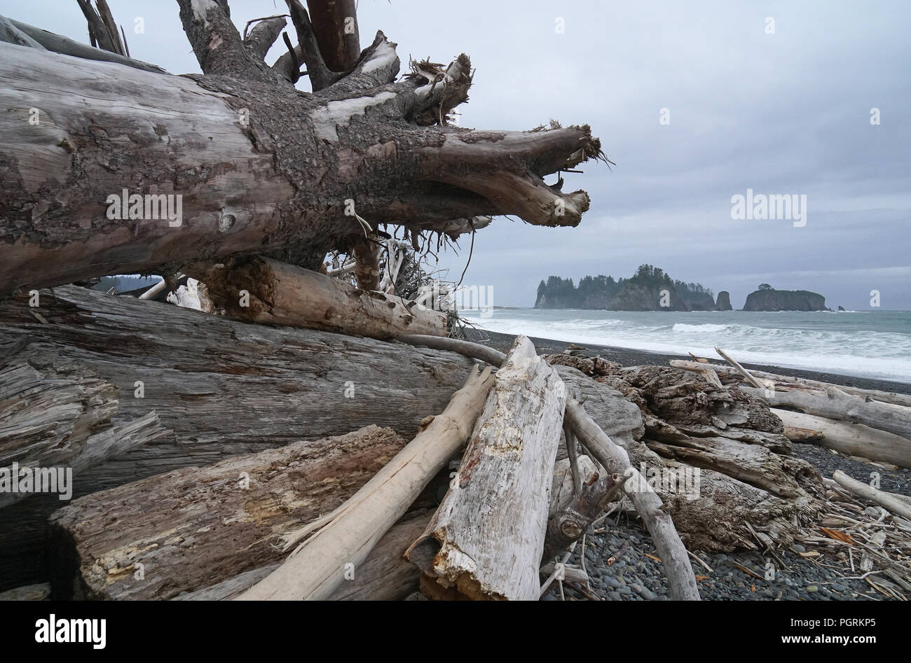 First Beach, LaPush, Olympic National Park, USA Stock Photo