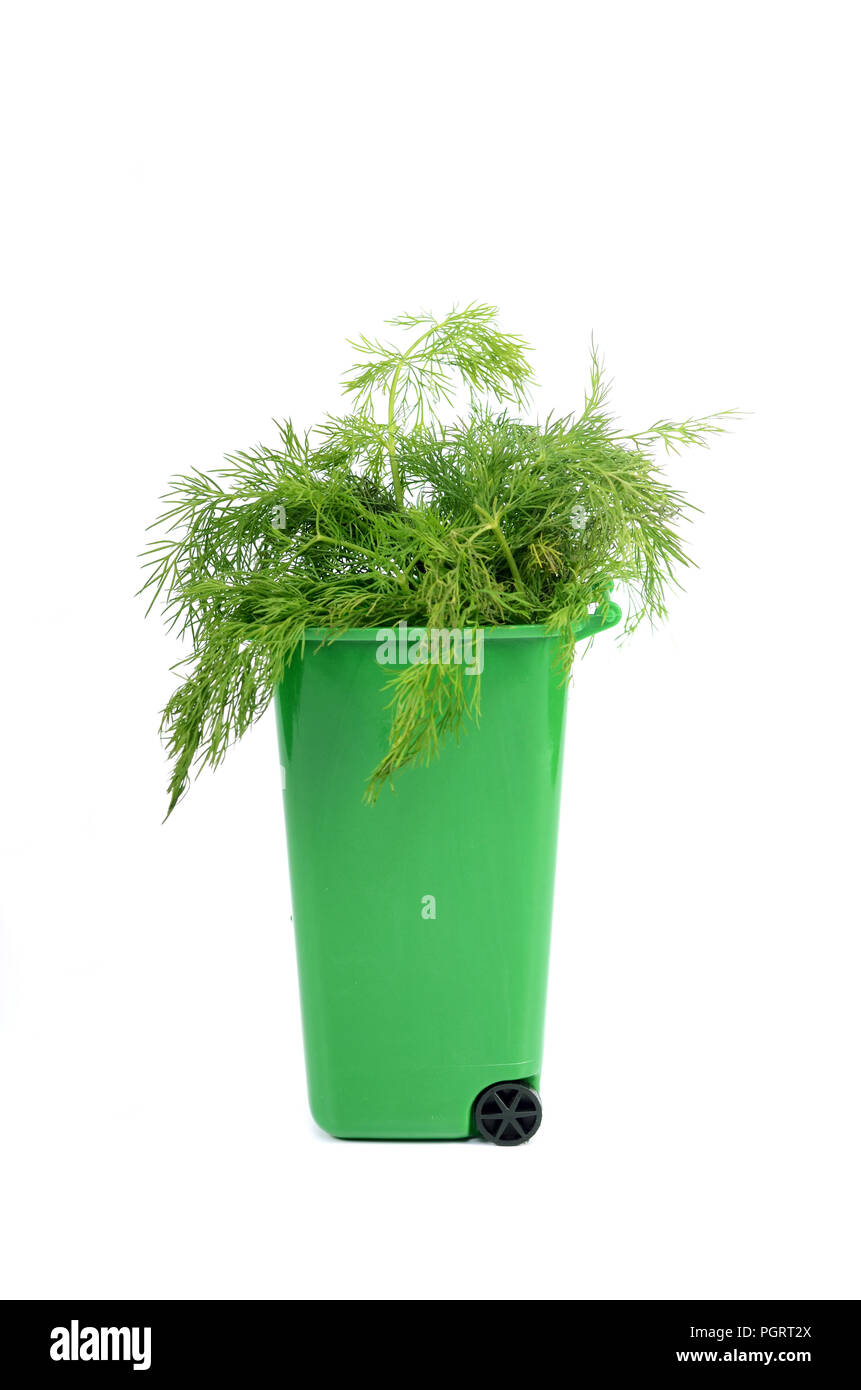 Empty green plastic recycle bin isolated, recycling concept Stock Photo