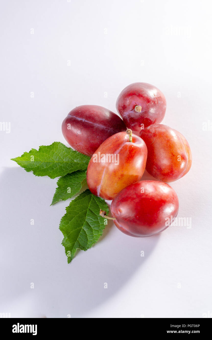 Group of ripe oval Victoria plums from England on white background with
