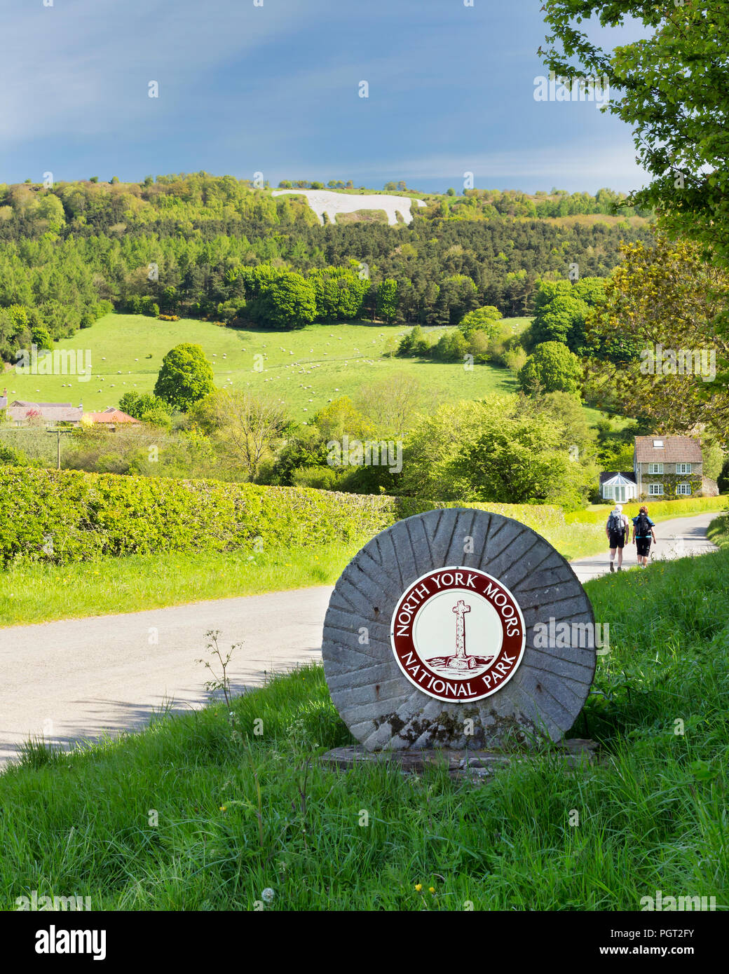 The White Horse of Kilburn on Roulston Scar above Kilburn Village, The