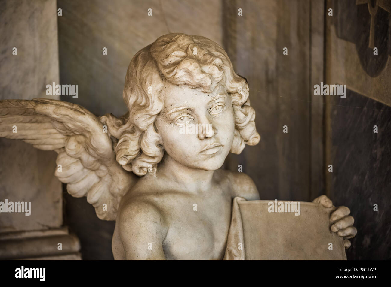 closeup of statue of angel spreading wings Stock Photo Alamy