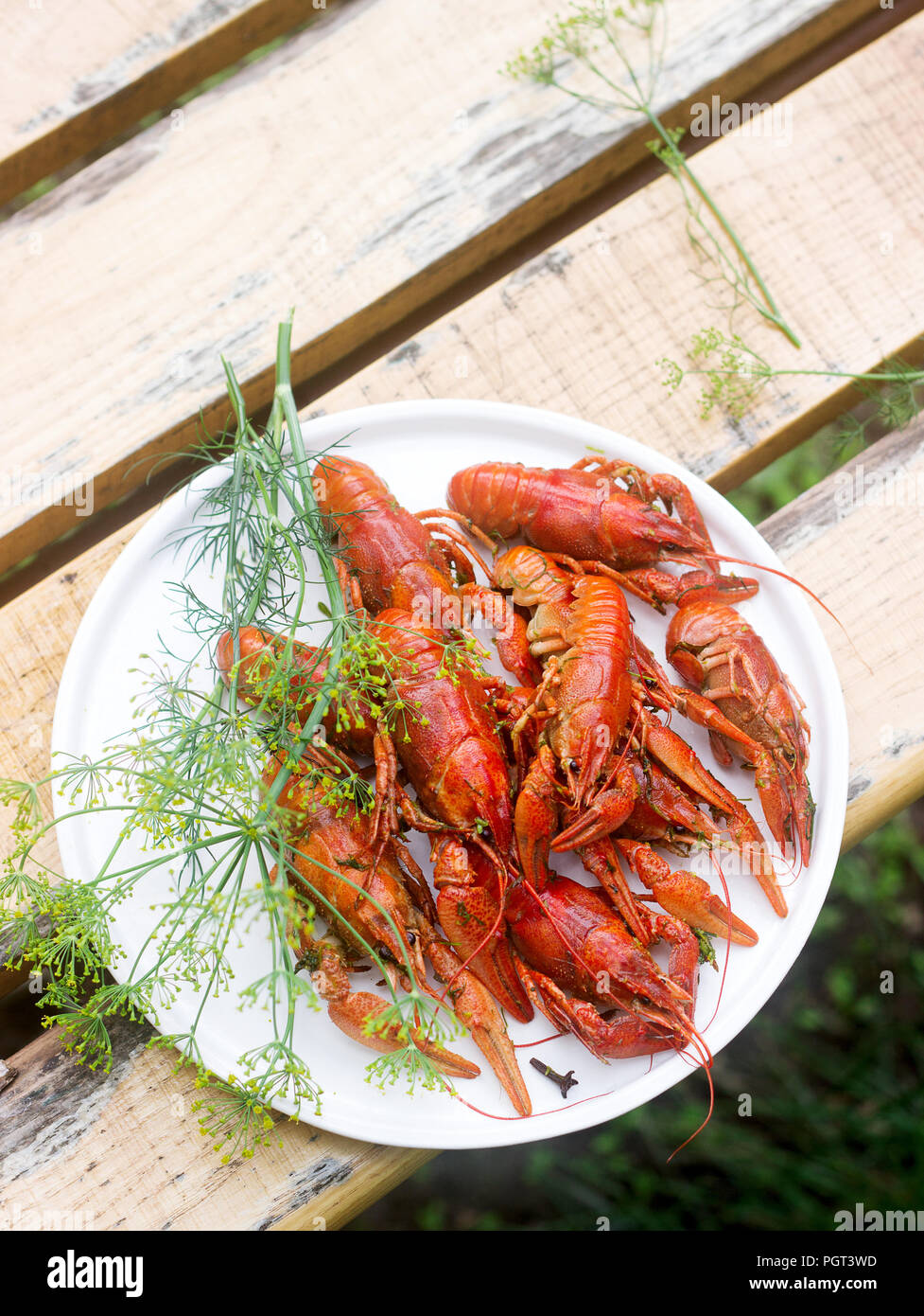 Fresh crayfish boiled with spices and dill served on a round dish. Selective focus. Stock Photo