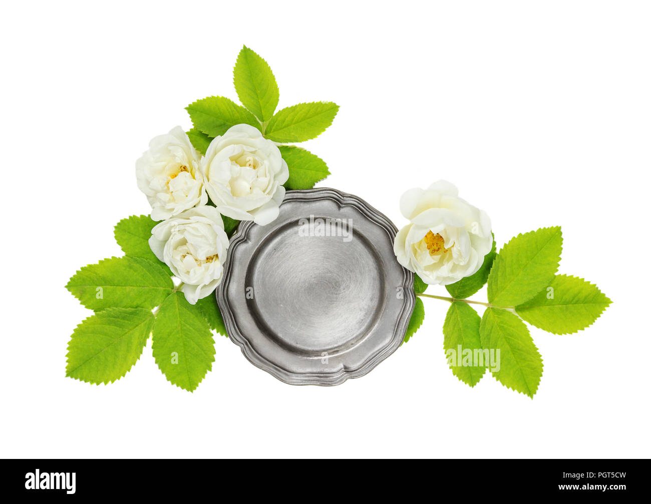 Wild rose isolated Cut Out Stock Images & Pictures - Alamy