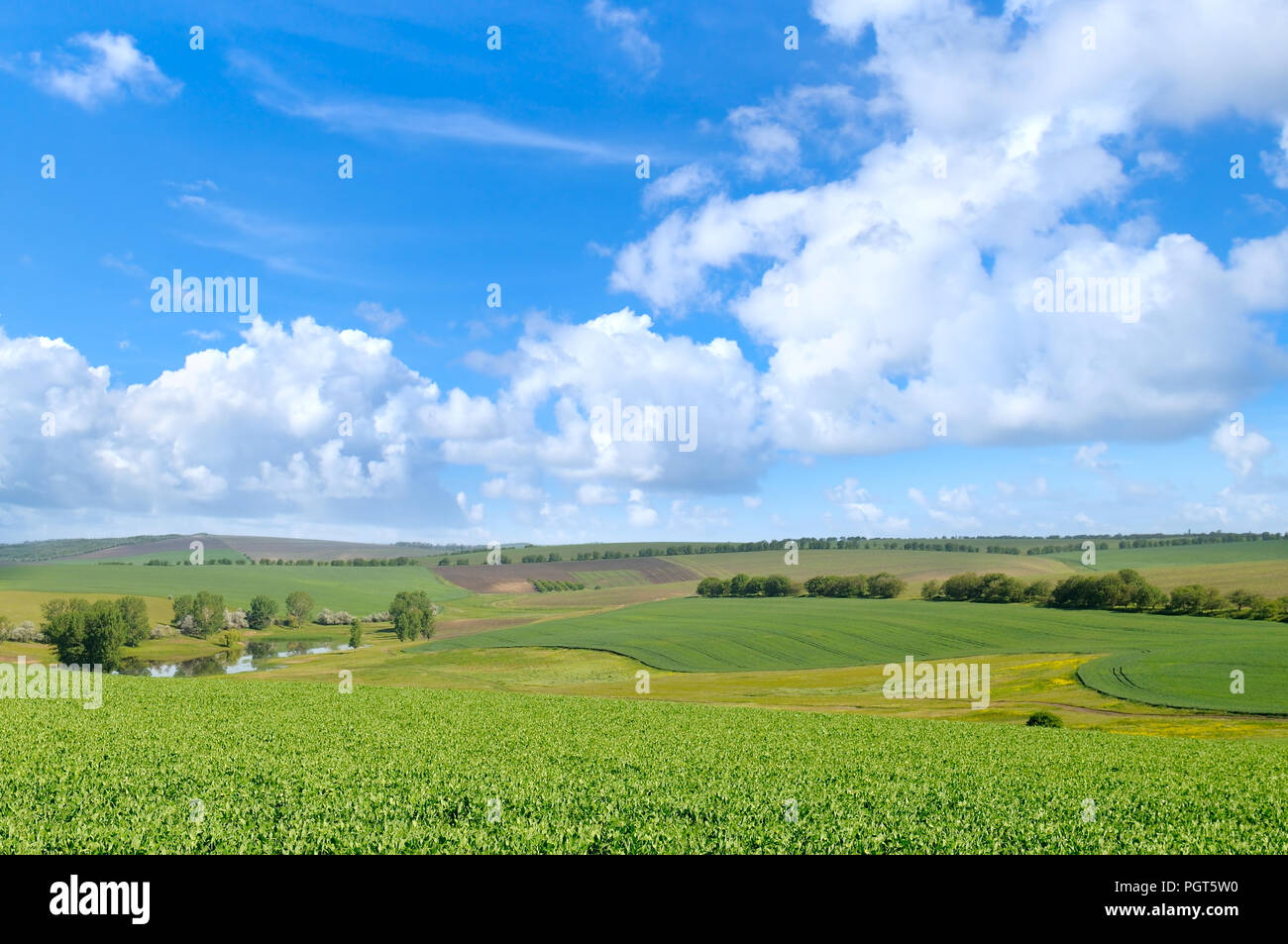 green field and blue sky with light clouds Stock Photo - Alamy