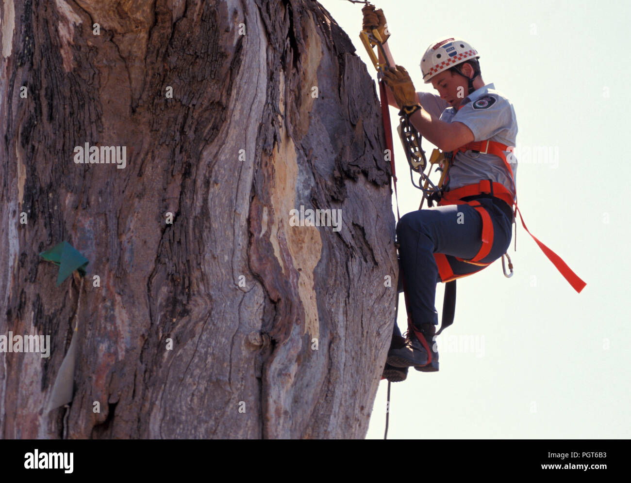 Australian Rappel High Resolution Stock Photography and Images - Alamy