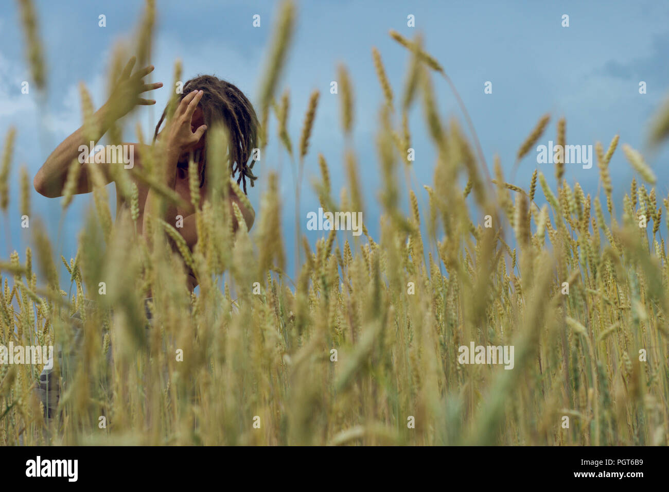 Man in wheat field, human in nature with summer sun, grass and plants Stock Photo