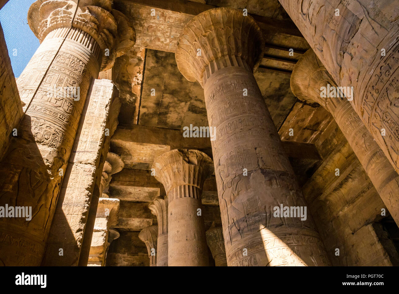 Looking up at carved floral capitals of stone columns in hypostyle hall with hieroglyphs, Edfu Temple, Edfu. Egypt, Africa Stock Photo