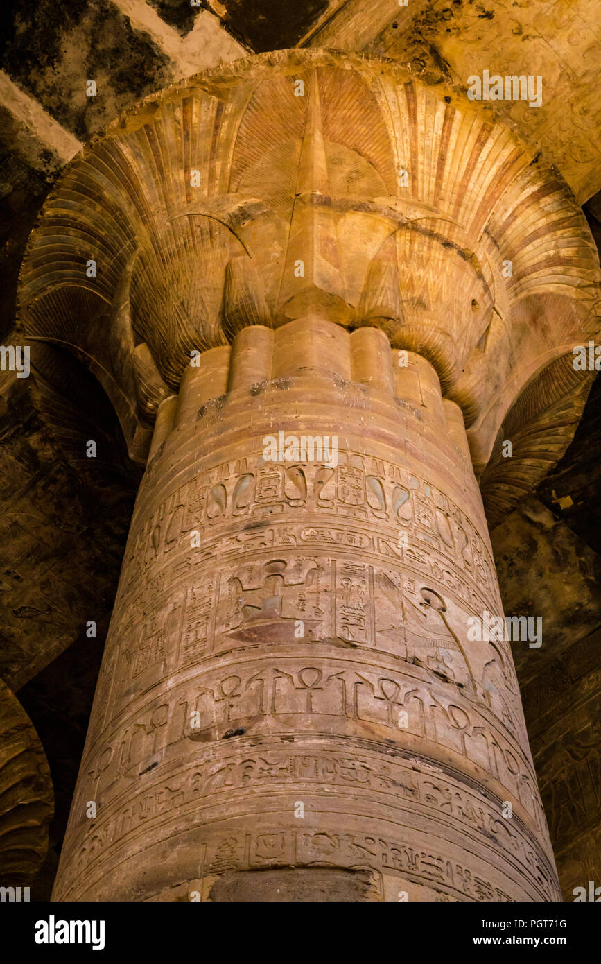 Looking up at carved floral capital of stone column in hypostyle hall with hieroglyphs, Edfu Temple, Edfu. Egypt, Africa Stock Photo