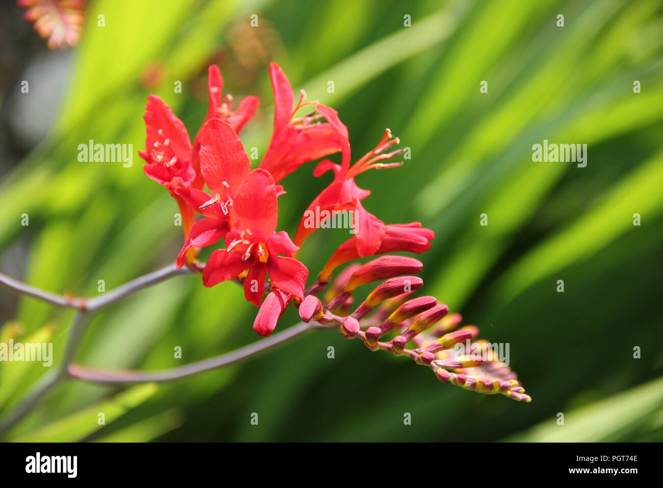 Seasons sunshine summer hi-res stock photography and images - Alamy