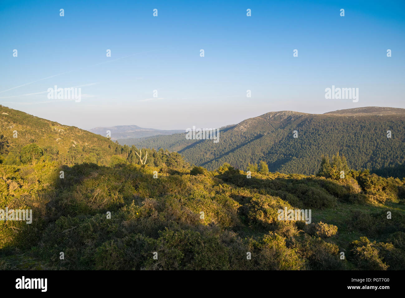 landscape of a valley with green trees and blue sky in spring in Spain Stock Photo