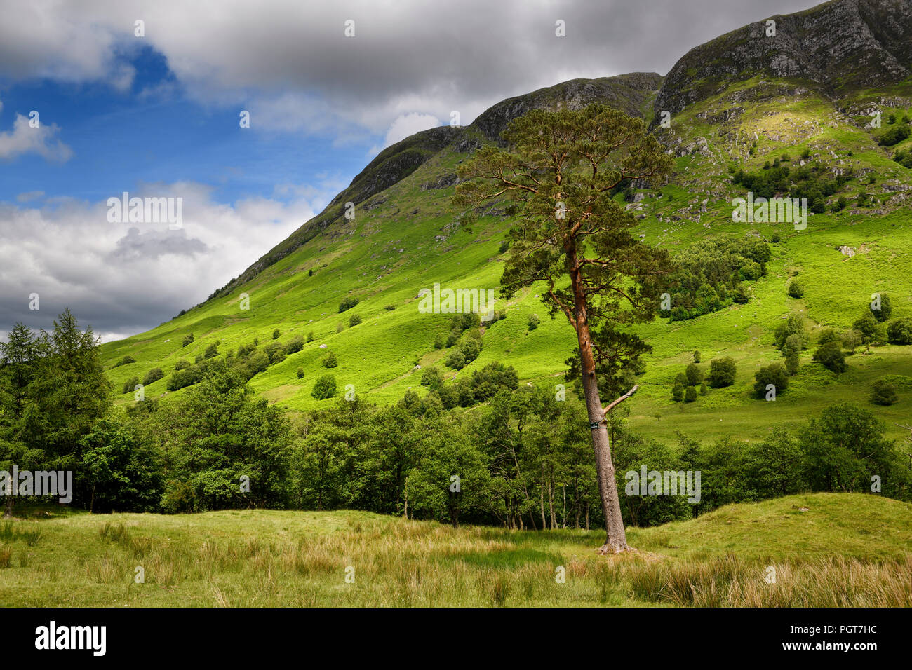 Meall an t-Suidhe mountain north of Ben Nevis at Glen Nevis valley Scottish Highlands Scotland UK Stock Photo