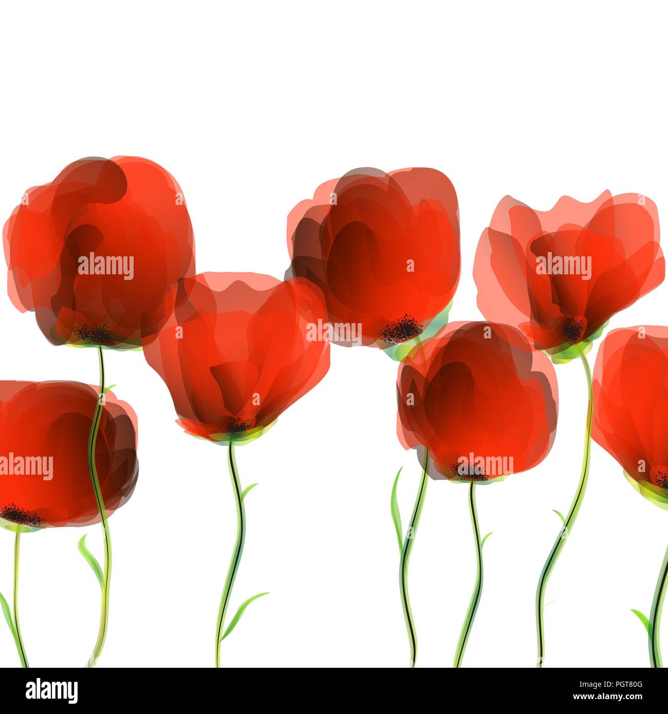 Red poppies row, abstract art illustration Stock Vector