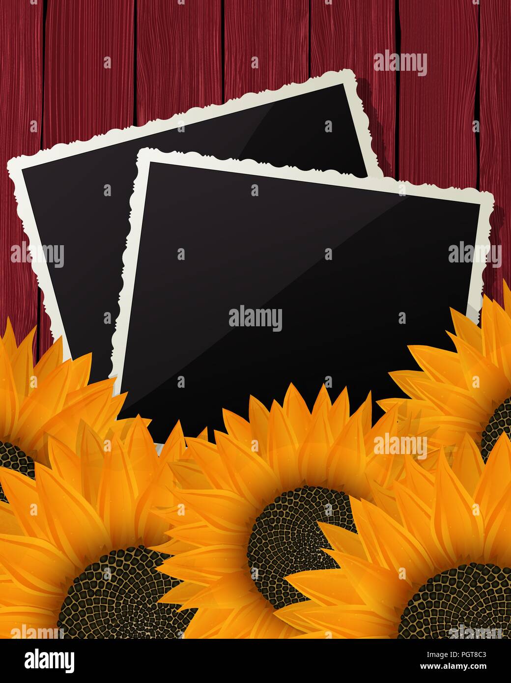 Summer collage with vintage photo frames, sunflowers and wooden background. Layered vector design. Stock Vector